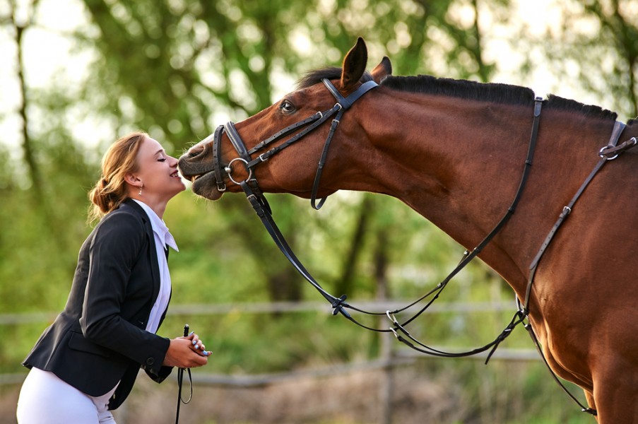 Equitation : une bonne relation cavalier-cheval obligatoire pour suivre des cours ?