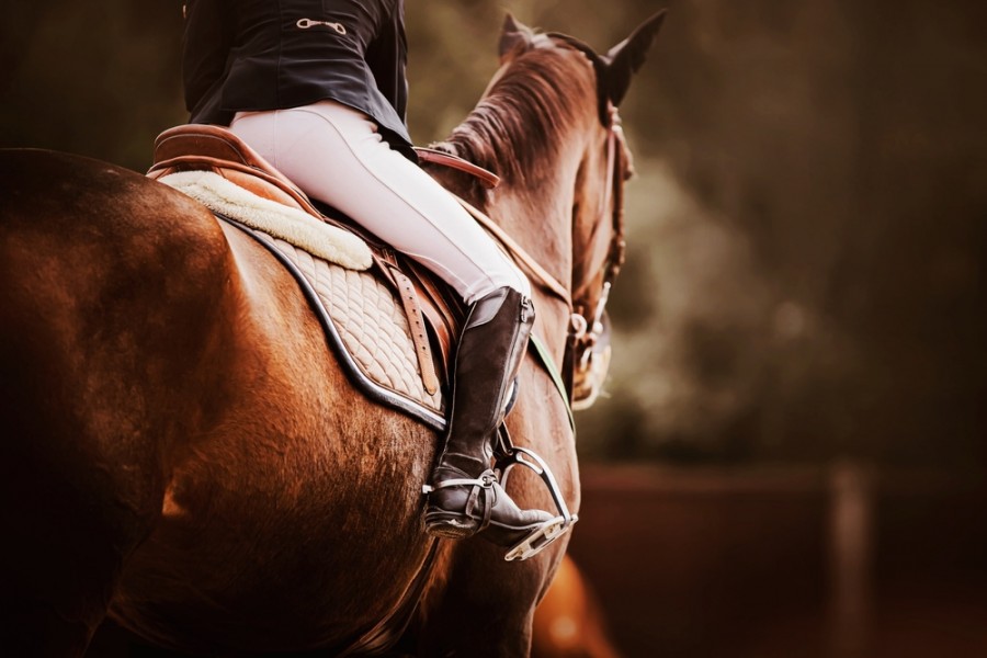 Est-ce que l'équitation est un sport ?